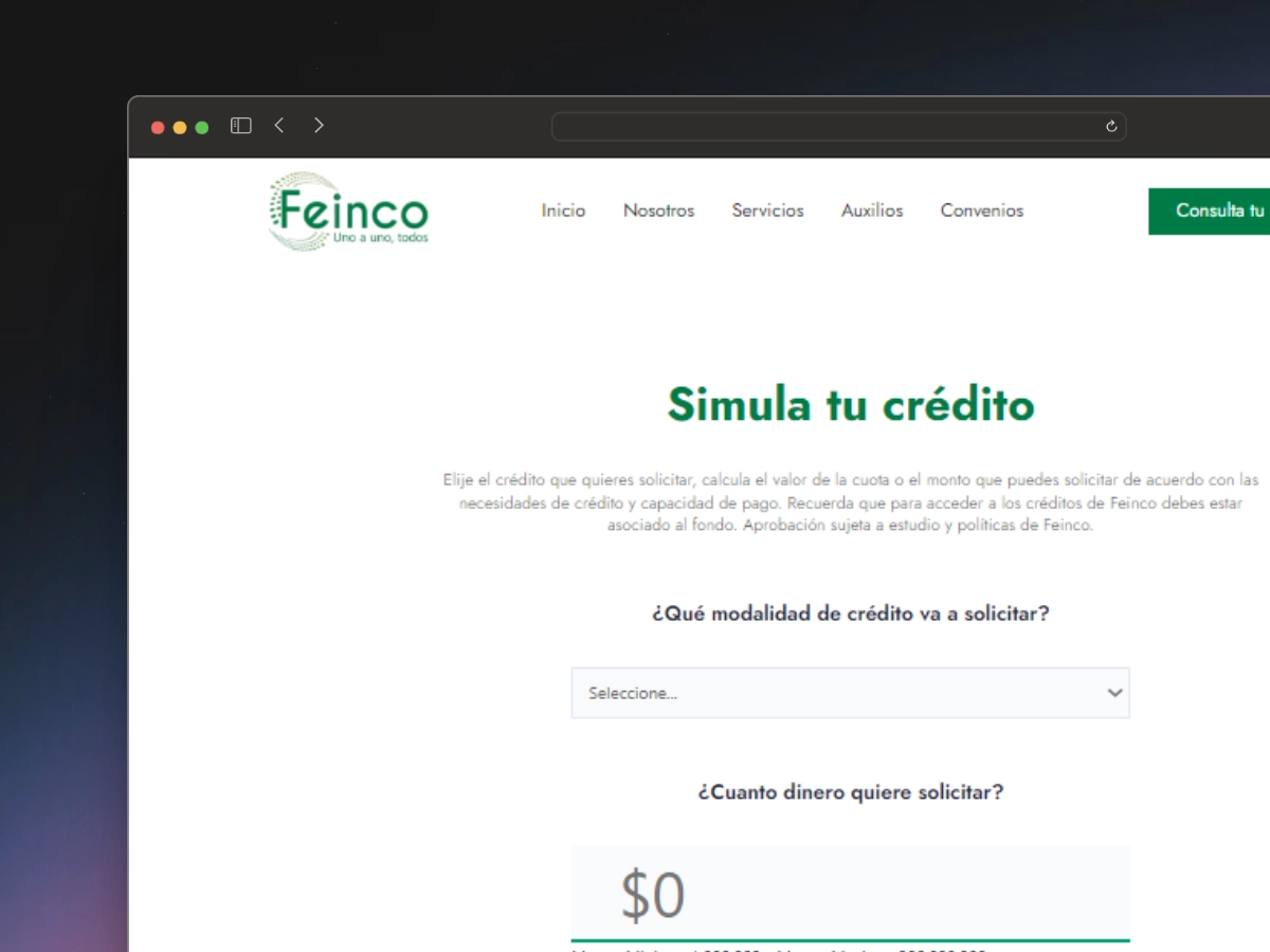 Captura de pantalla del proyecto Feinco